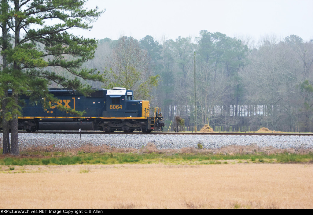 Local to Manchester Coming Out Of The Pines